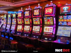amzpg - Login Bet Oficial