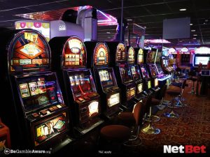 amzpg - Cassino Oficial Login